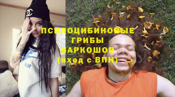 Альфа ПВП Армянск
