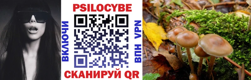 Галлюциногенные грибы MAGIC MUSHROOMS  как найти закладки  Полевской 